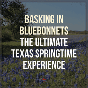 Basking in Bluebonnets: The Ultimate Texas Springtime Experience
