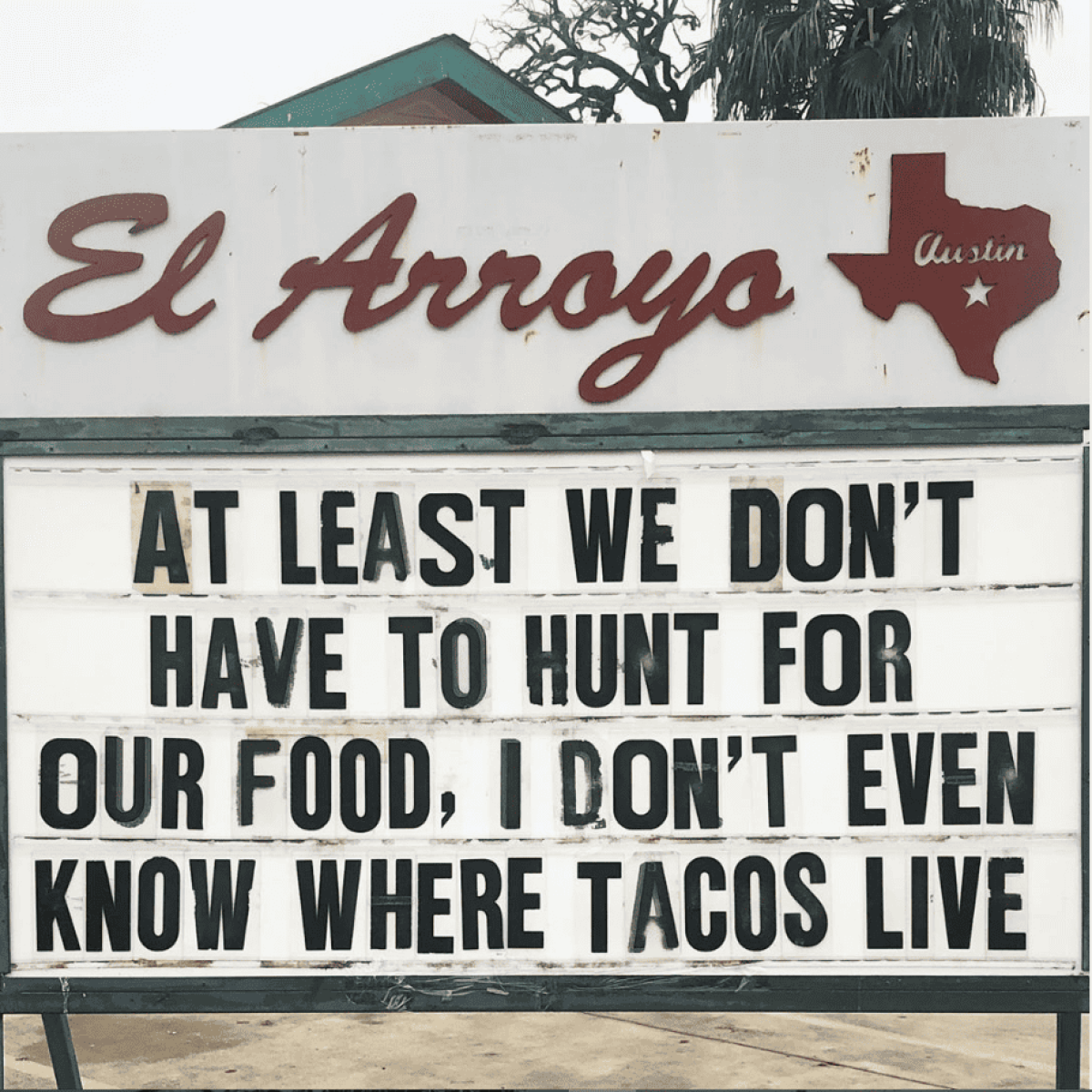 At Least We Do Not Have to Hunt for Our Food   Photo Credit : El Arroyo