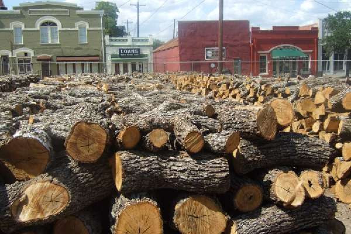 Split seasoned post oak firewood used for authentic Central Texas barbecue smoking